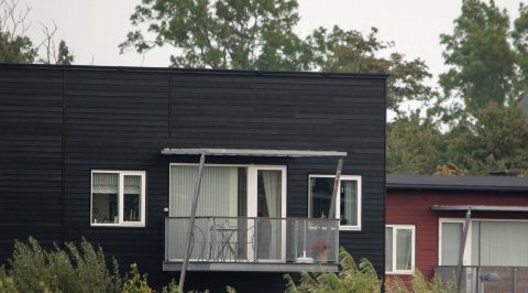 Trænedbrydning og træbeskyttelse