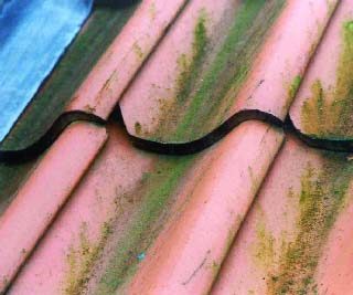 Vingetagsten