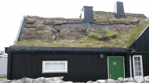 Græstørvstag