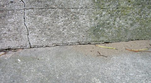 Myreangreb på sokkel