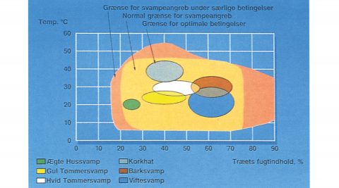 Nedbrydning af træ i bygninger - biologiske skader