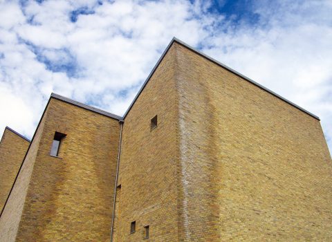 En ubeskyttet syd- eller vestvendt skalmuret facade er stærkt eksponeret for opfugtning fra slagregn