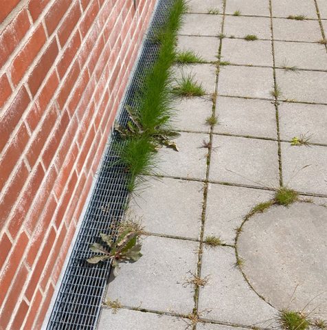 Ukrudt skal fjernes for at sikre funktionen.