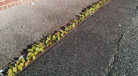 Afløbsrende, der ikke virker på grund af manglende vedligehold.