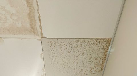 Loftplader med fugtaftegninger forårsaget af sommerkondens i tagkonstruktionen.